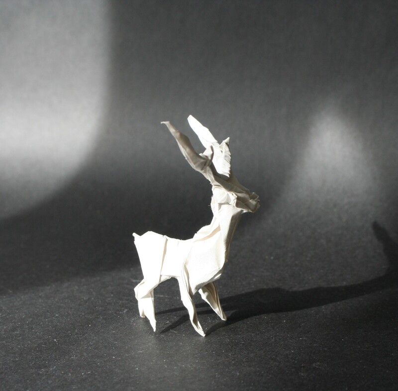 Cerf
Fait à partir d'une longue chute de papier. Pour ces animaux à longues cornes je n'ai pas de modèle très précis, il y a toujours une certaine dose d'improvisation.
Mots-clés: animal